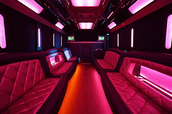 28 passenger party buses