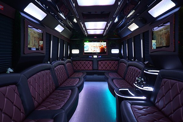 30 passenger limo buses